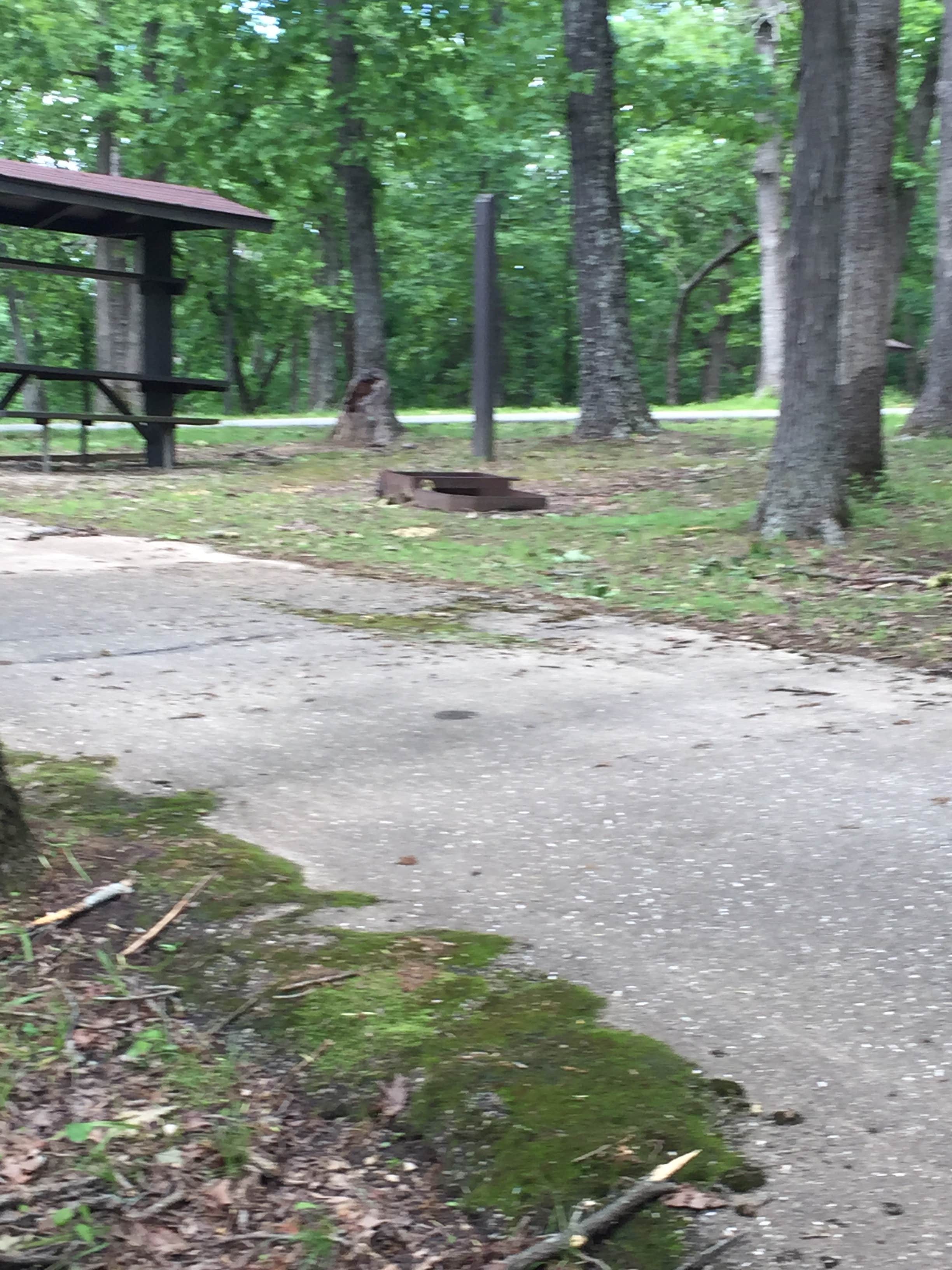 Camper-submitted photo at Bull Shoals-White River State Park near Norfork, AR