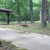 Review photo of Bull Shoals-White River State Park by Chad K., May 29, 2017