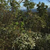 Review photo of Mount Magazine State Park Campground by Chad K., May 29, 2017