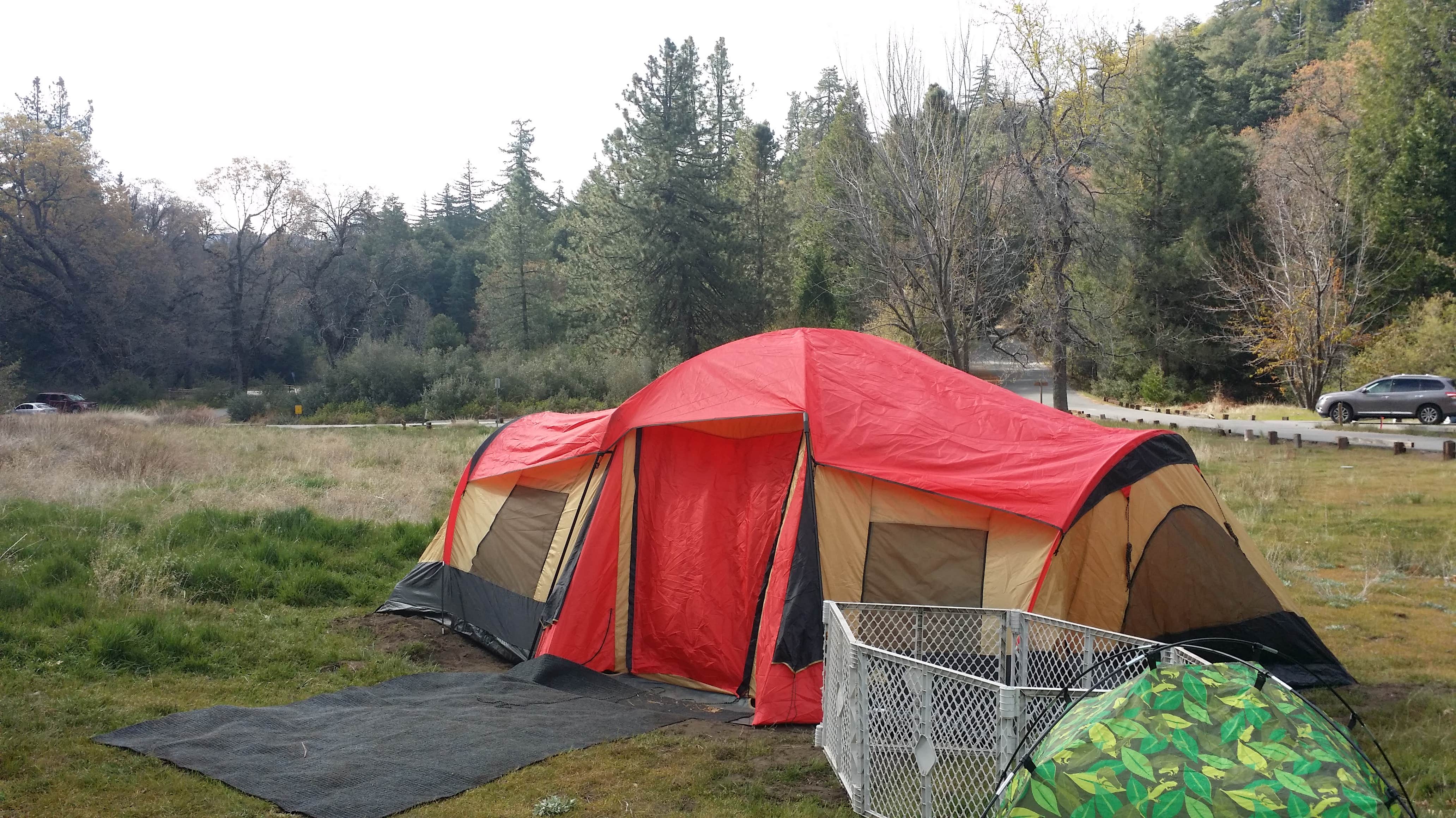 Camper submitted image from Palomar Mountain State Park Campground - 3