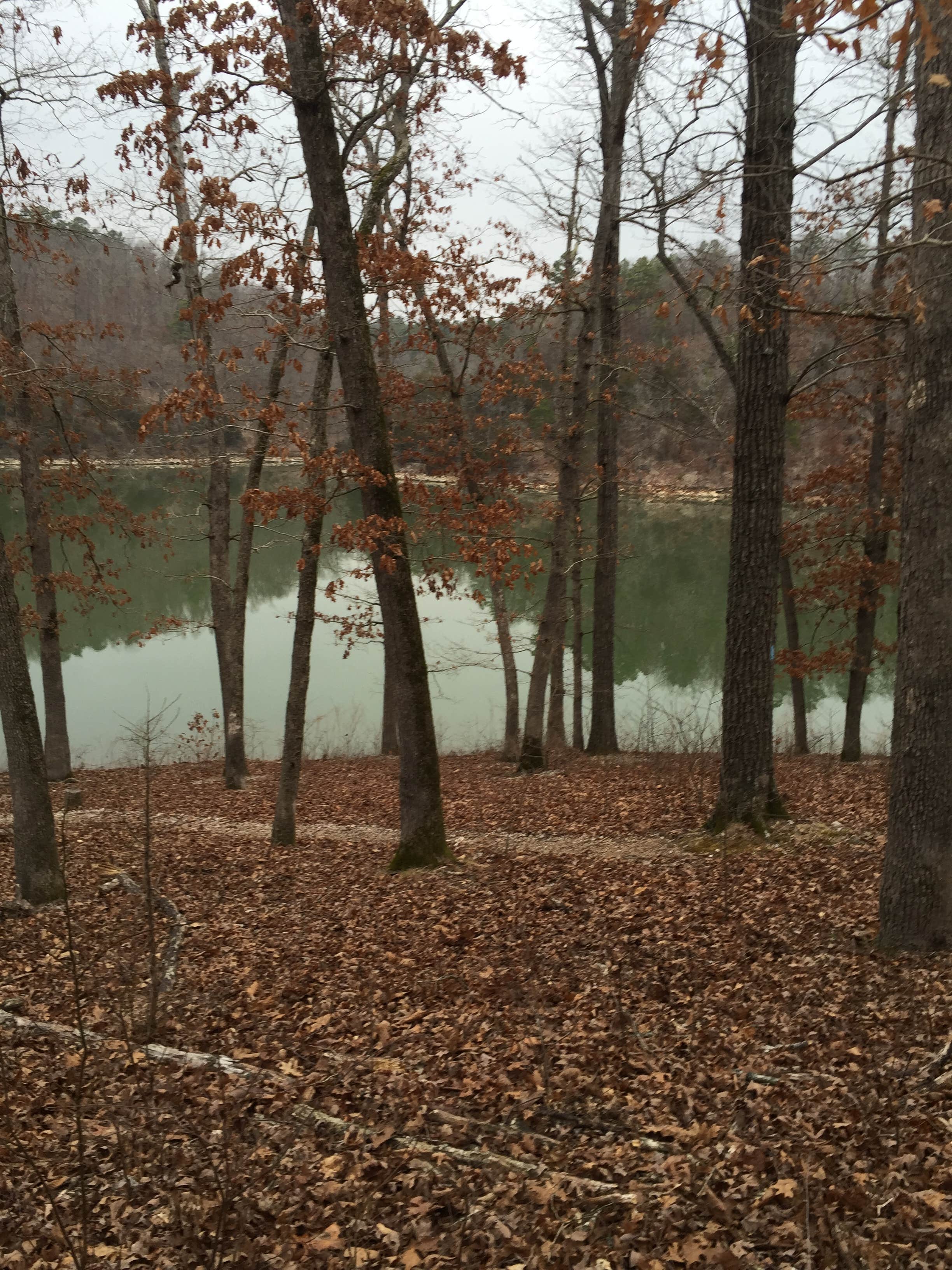 Camper submitted image from War Eagle Campground - 2
