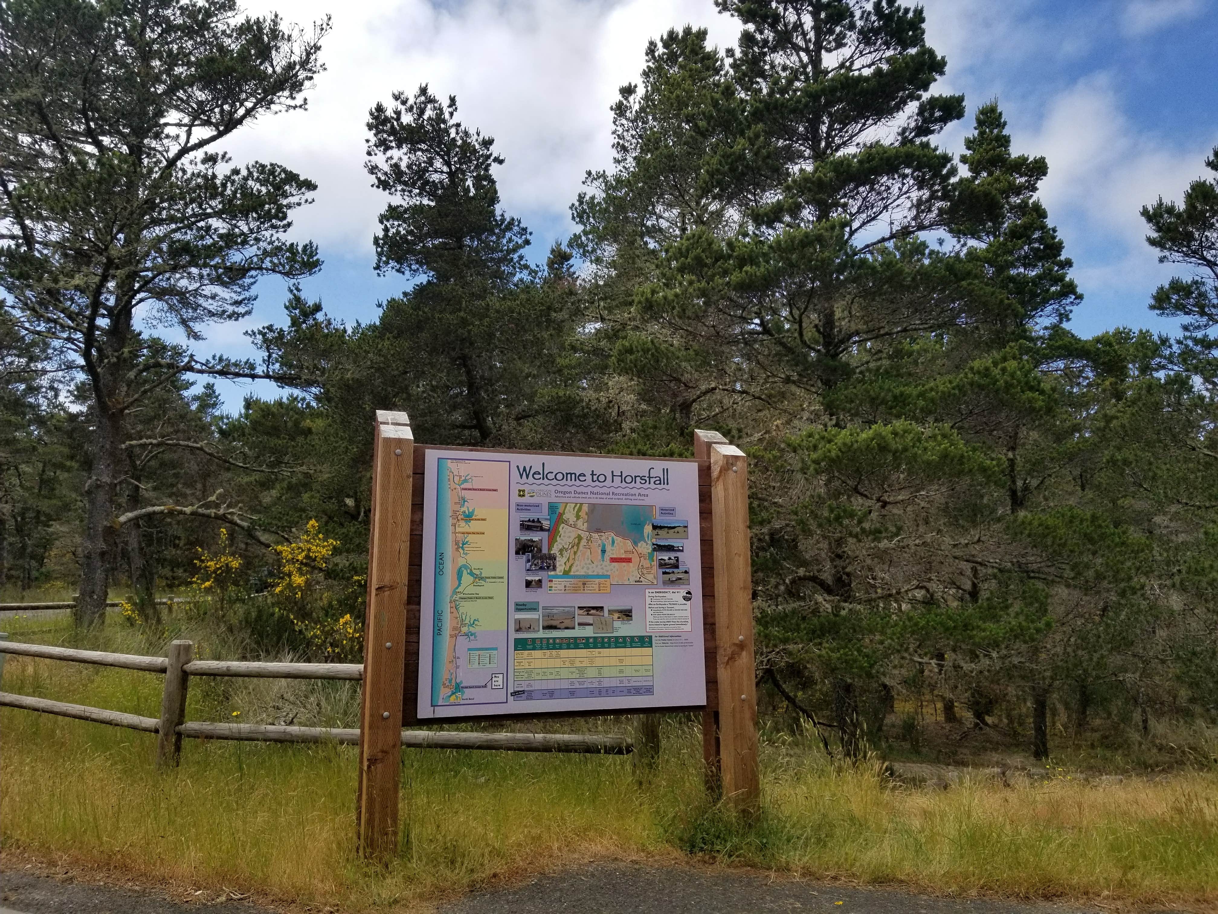 Camper submitted image from Horsfall Campground - 5