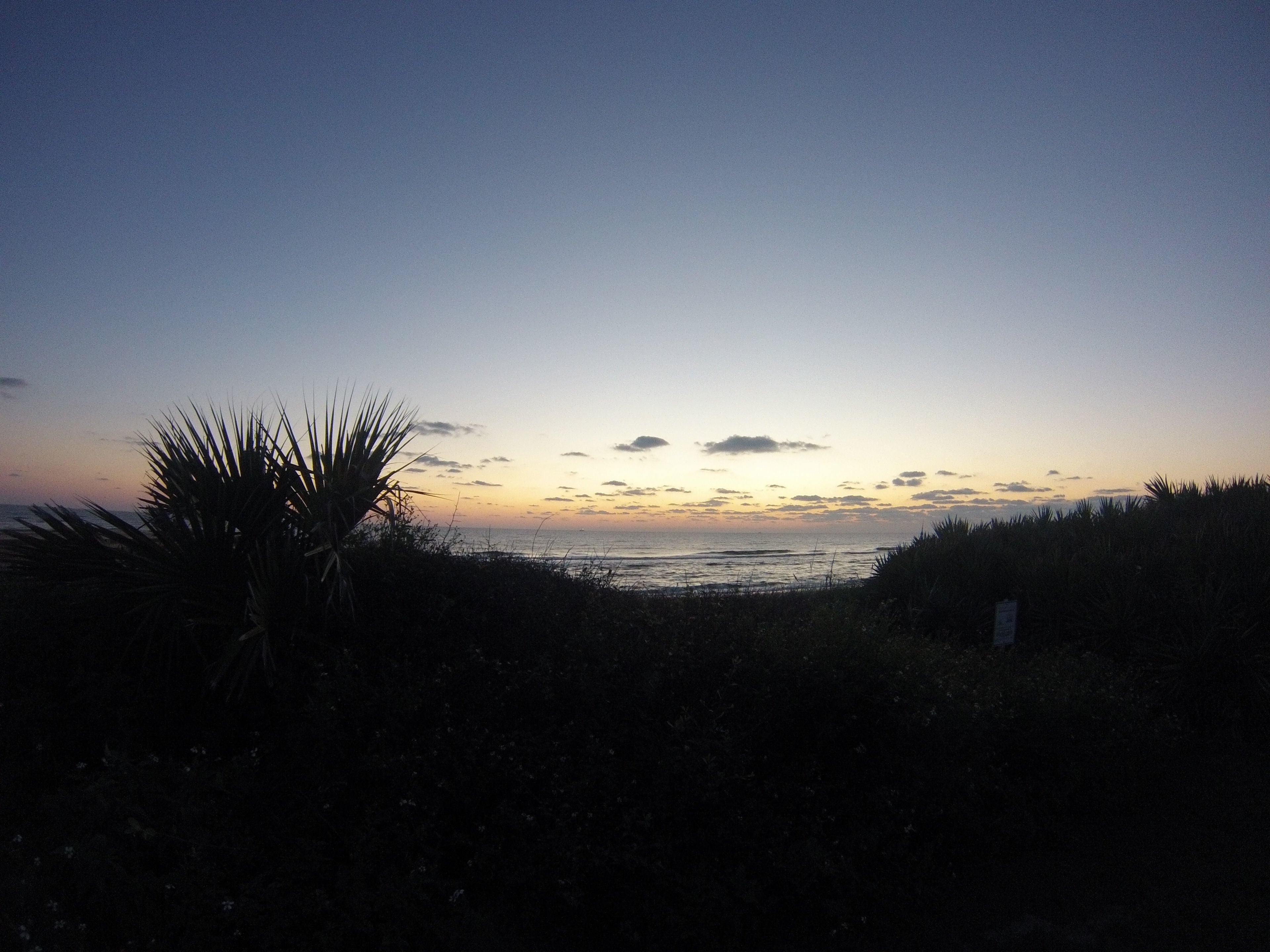 Camper submitted image from Gamble Rogers Memorial State Recreation Area at Flagler Beach - 2