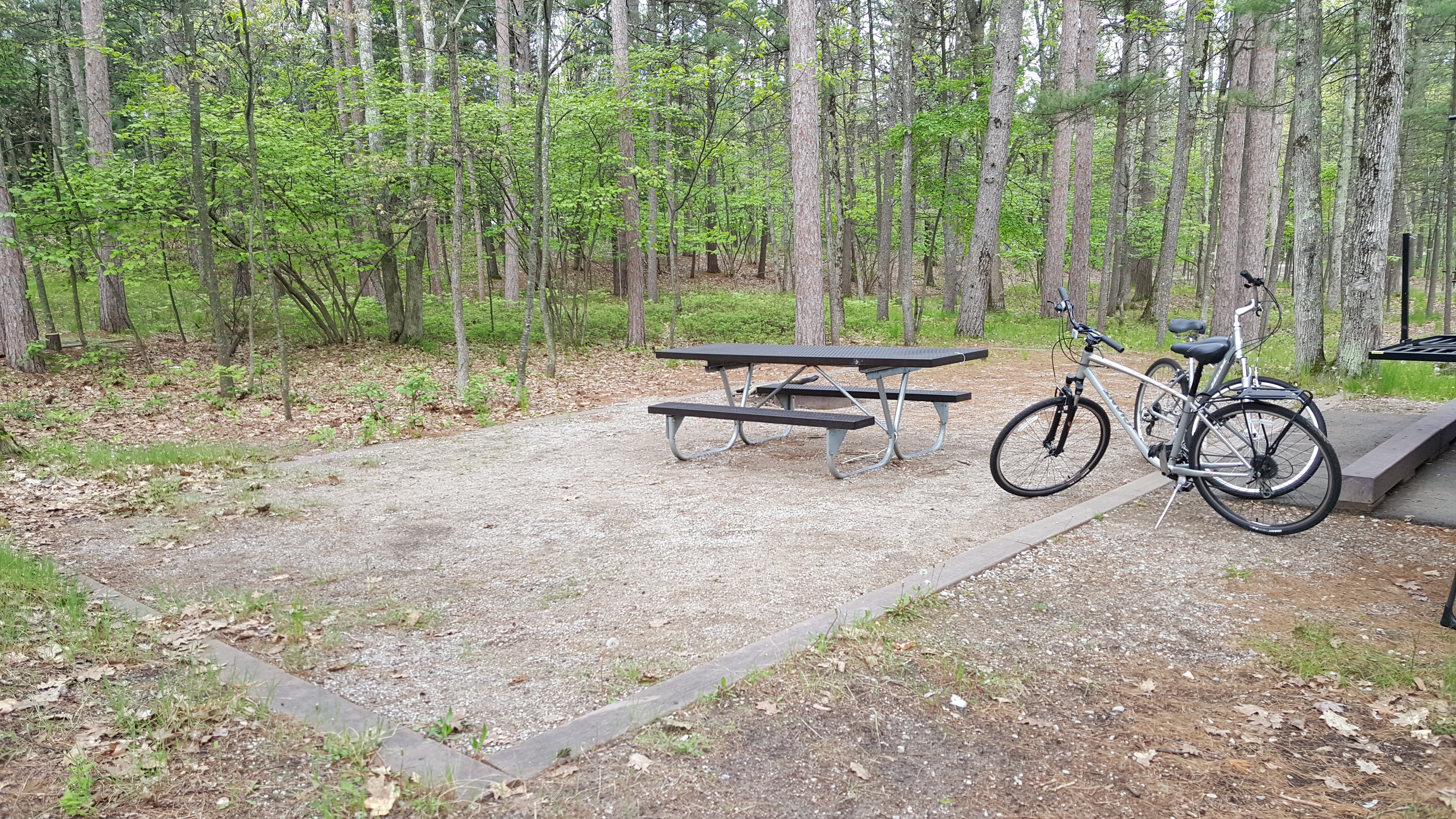 Camper submitted image from Platte River Campground — Sleeping Bear Dunes National Lakeshore - 4