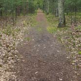 Review photo of Platte River Campground — Sleeping Bear Dunes National Lakeshore by Stephanie C., May 29, 2017