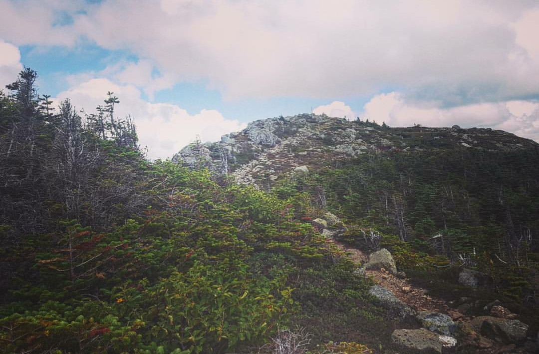 Camper-submitted photo at Myron H. Avery Memorial Campsite — Bigelow Ecological Reserve near Carrabassett Valley, ME