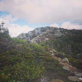 Review photo of Myron H. Avery Memorial Campsite — Bigelow Ecological Reserve by michael M., May 30, 2017
