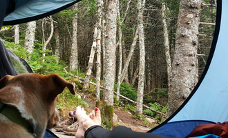 Camping near Deer Farm Camps & Campground: Myron H. Avery Memorial Campsite — Bigelow Ecological Reserve, Stratton, Maine