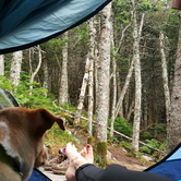 Review photo of Myron H. Avery Memorial Campsite — Bigelow Ecological Reserve by michael M., May 30, 2017