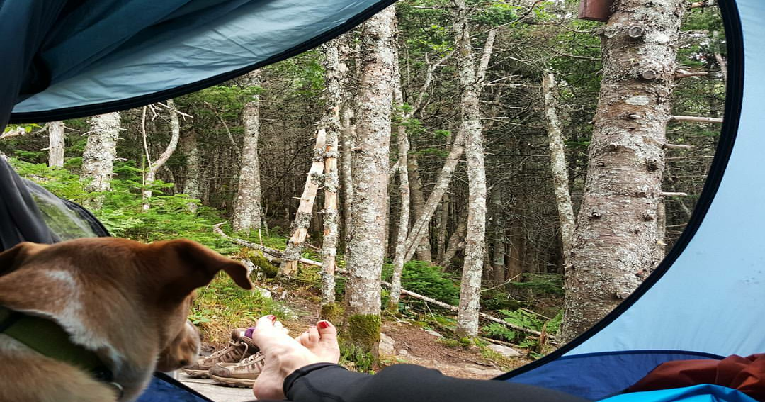 Myron H. Avery Memorial Campsite — Bigelow Ecological Reserve
