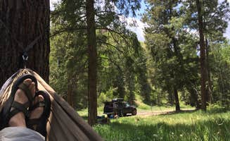 Travis D.'s photo at Fenton Lake State Park Campground near Cuba, NM