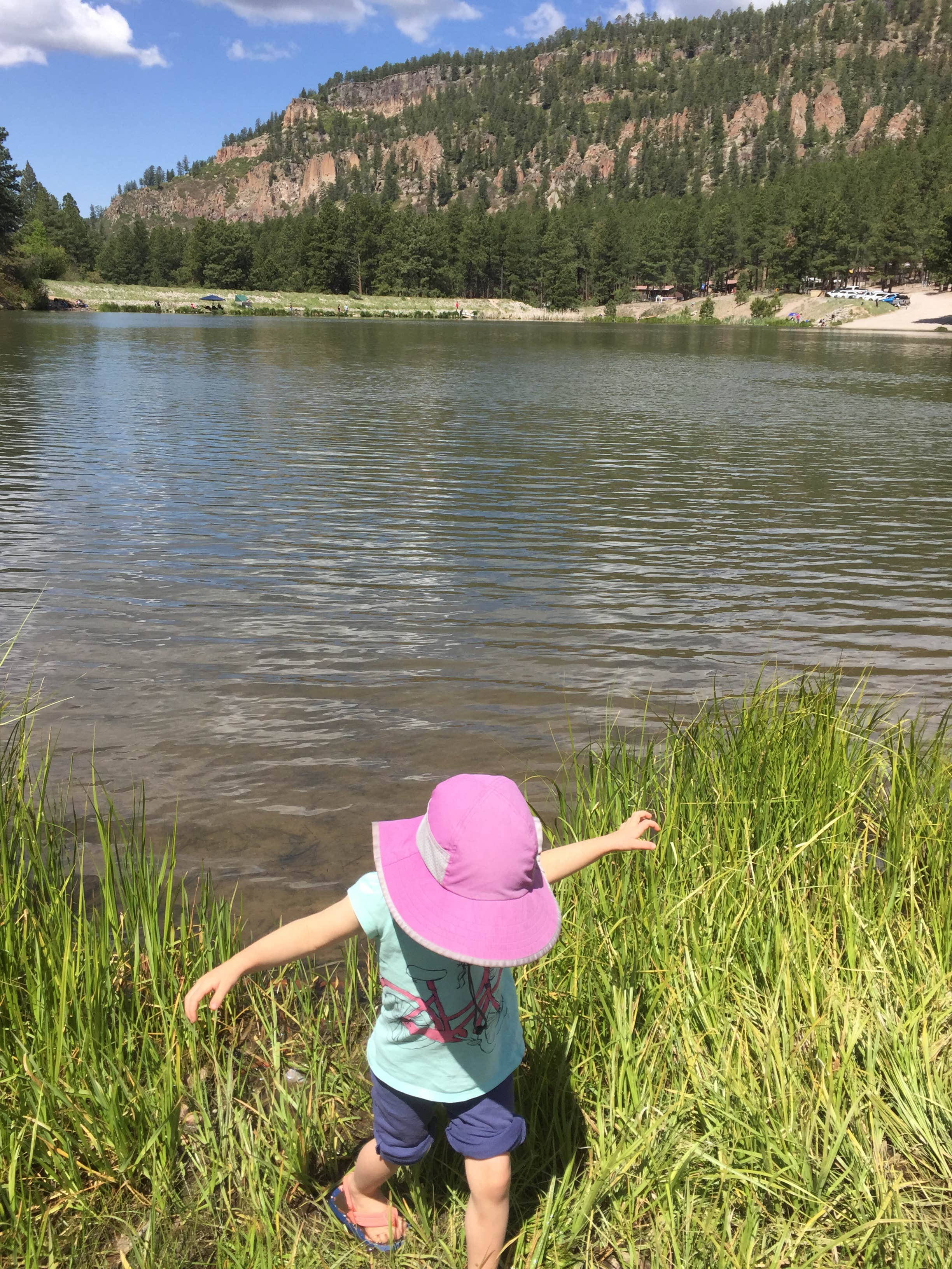 Camper-submitted photo at Fenton Lake State Park Campground near Lindrith, NM