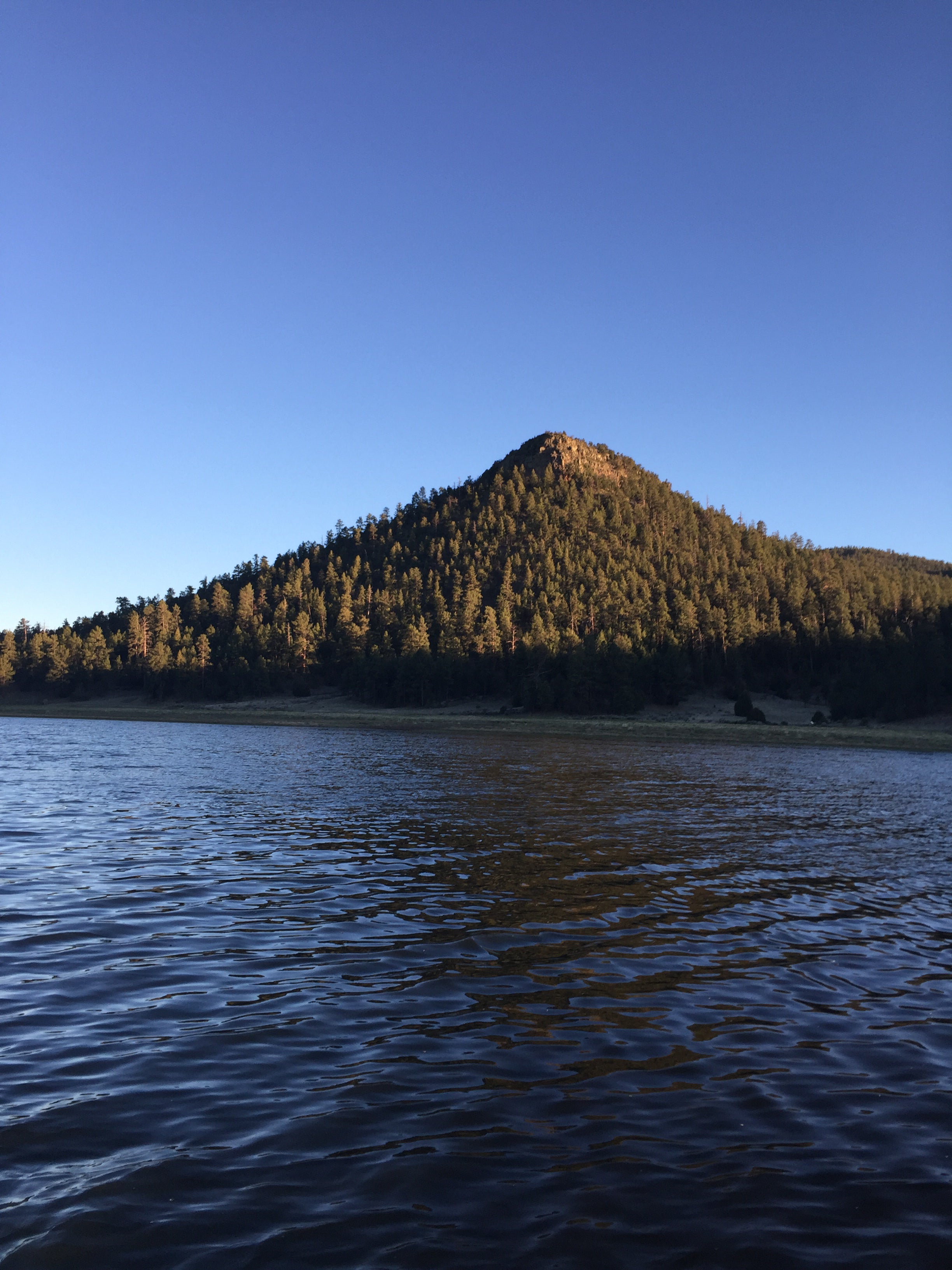 Camper submitted image from Cove - Quemado Lake - 4