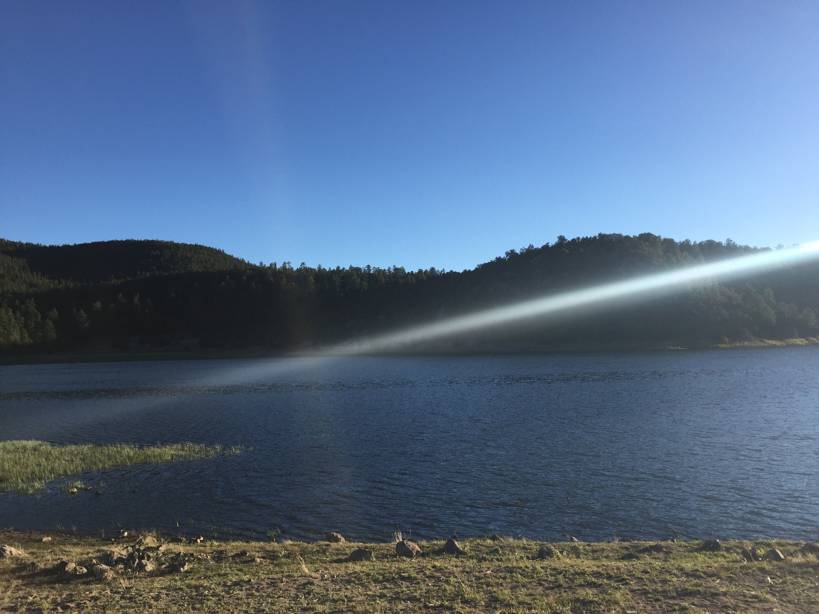Camper submitted image from Cove - Quemado Lake - 3