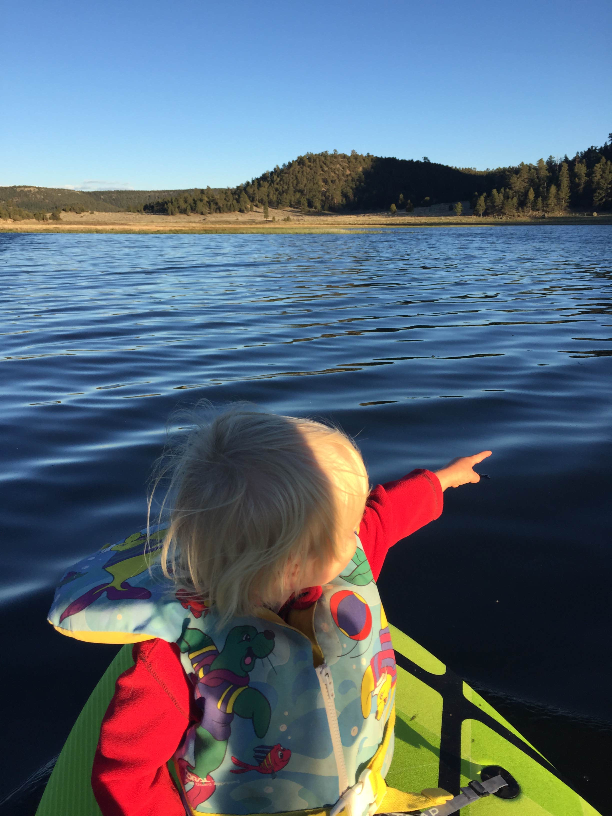 Camper-submitted photo at Cove - Quemado Lake near Quemado, NM