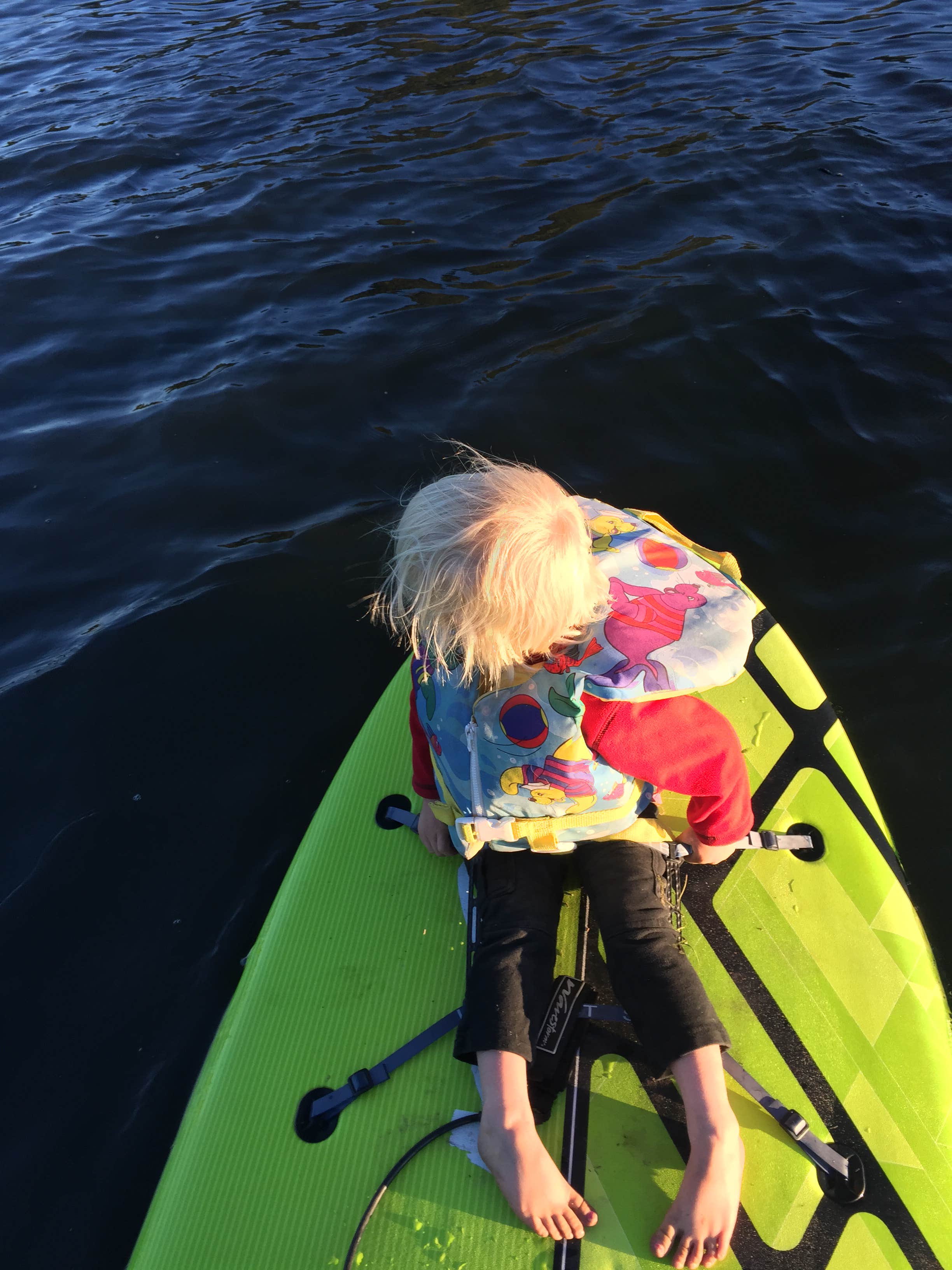Camper submitted image from Cove - Quemado Lake - 5