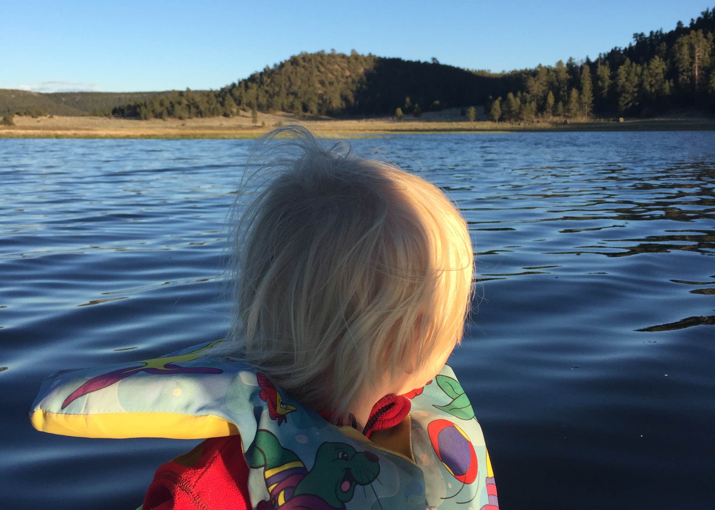 Cove Quemado Lake Camping The Dyrt