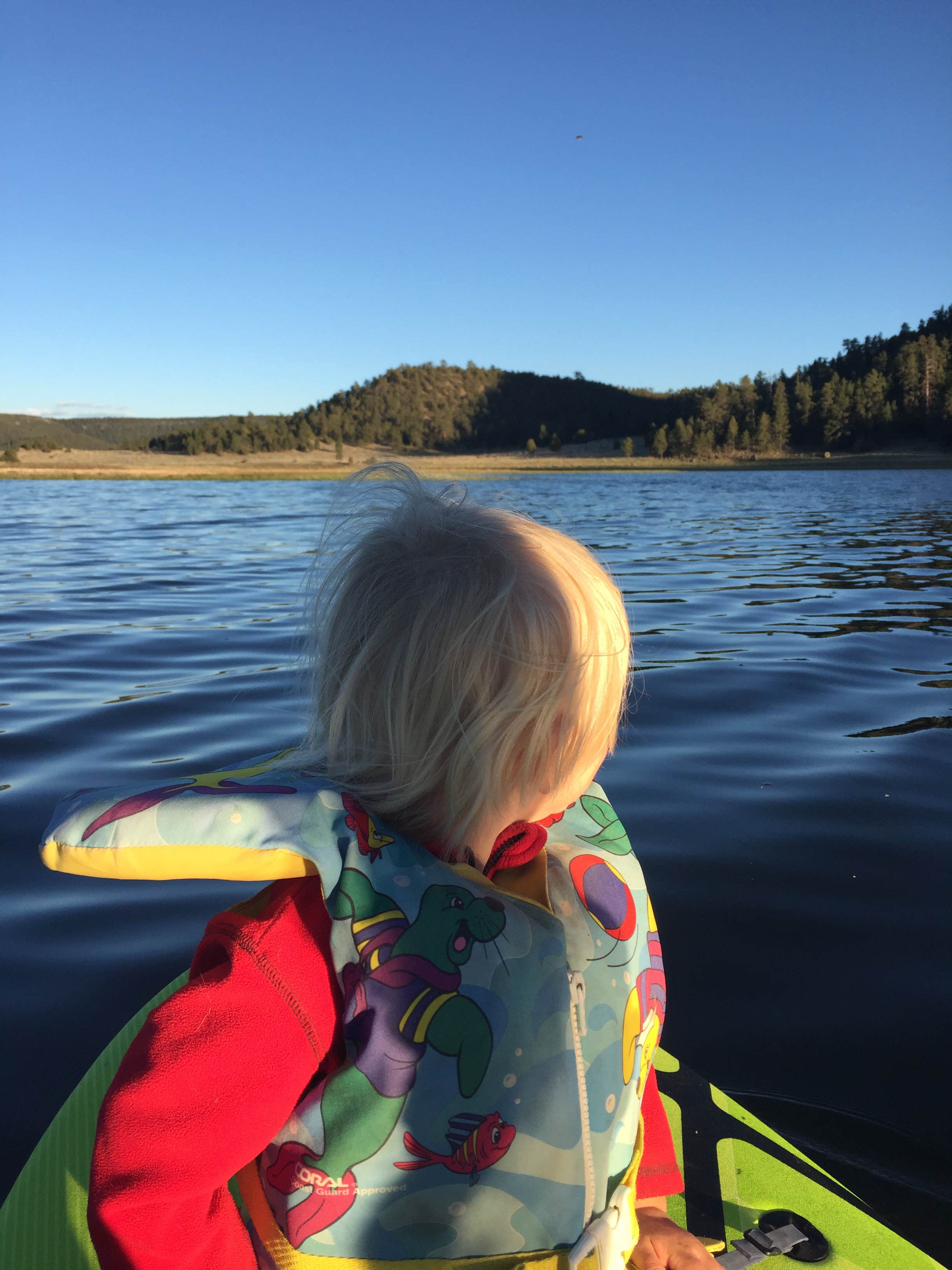 Camper submitted image from Cove - Quemado Lake - 1