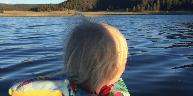 Camper submitted image from Cove - Quemado Lake