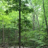 Review photo of Crabtree Falls Campground by Kaylee G., May 30, 2017