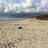 Review photo of Barview Jetty County Campground by Corinna B., May 30, 2017
