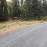 Review photo of Cooper Creek South by Audry P., May 30, 2017