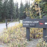 Review photo of Riley Creek Campground — Denali National Park by Audry P., May 10, 2017