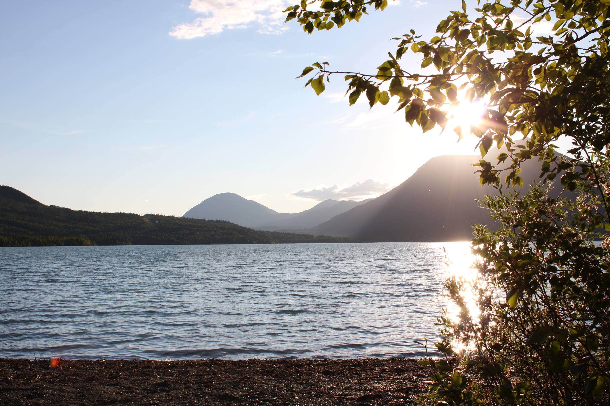 Camper submitted image from Quartz Creek Campground - 2