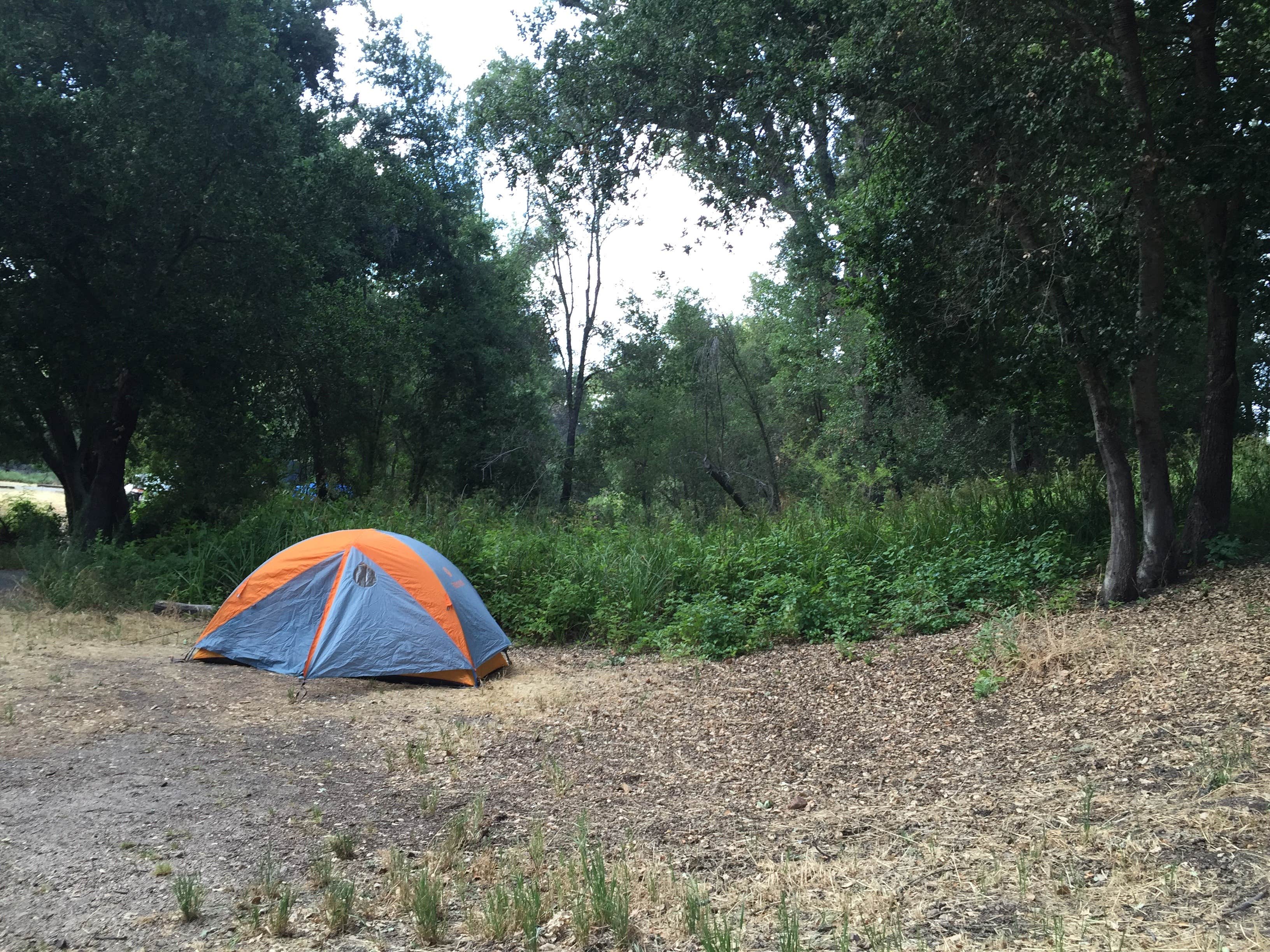 Amanda D.'s photo at Pinnacles Campground — Pinnacles National Park near Soledad, CA