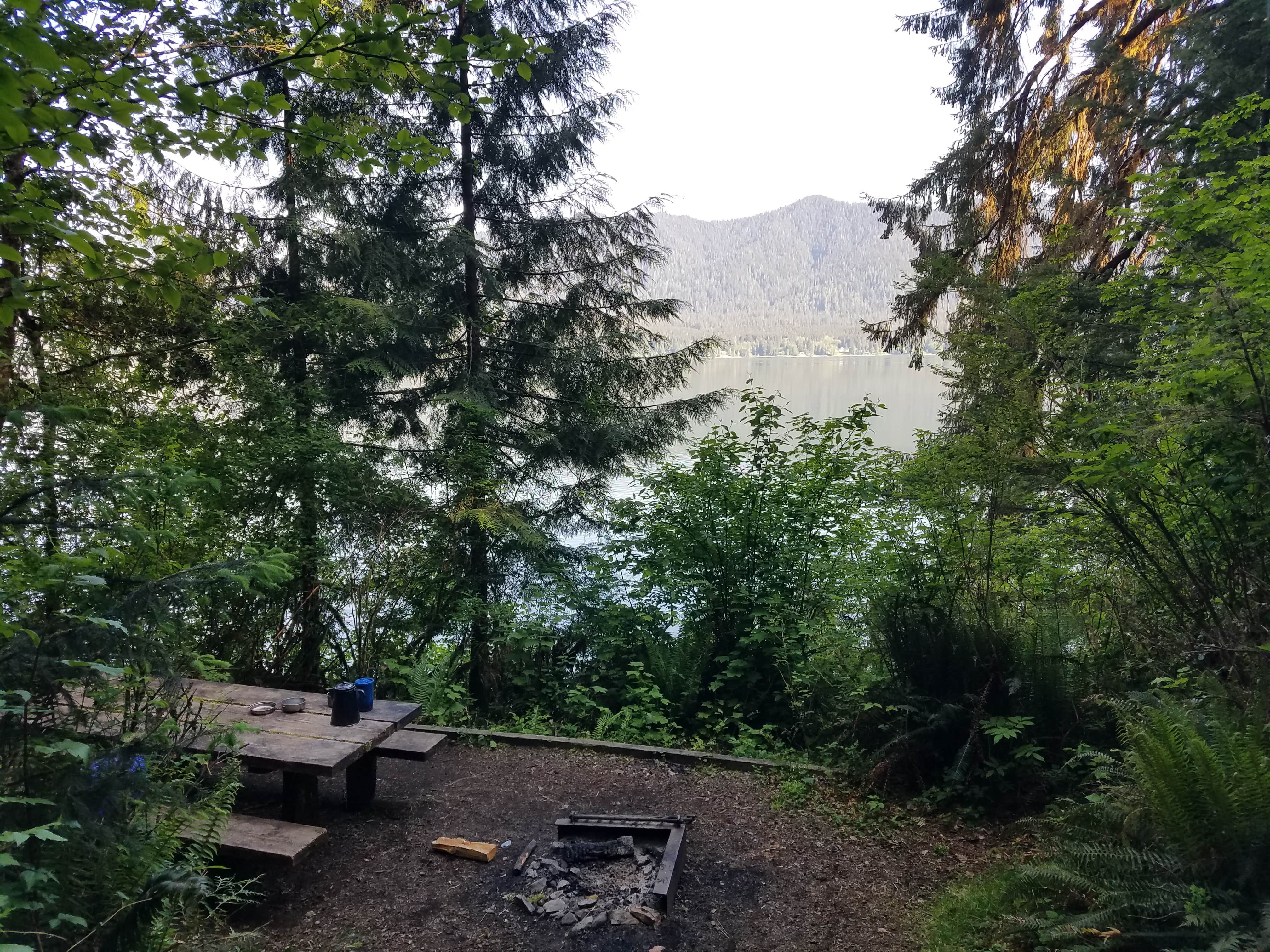 Camper submitted image from Willaby Campground - 2