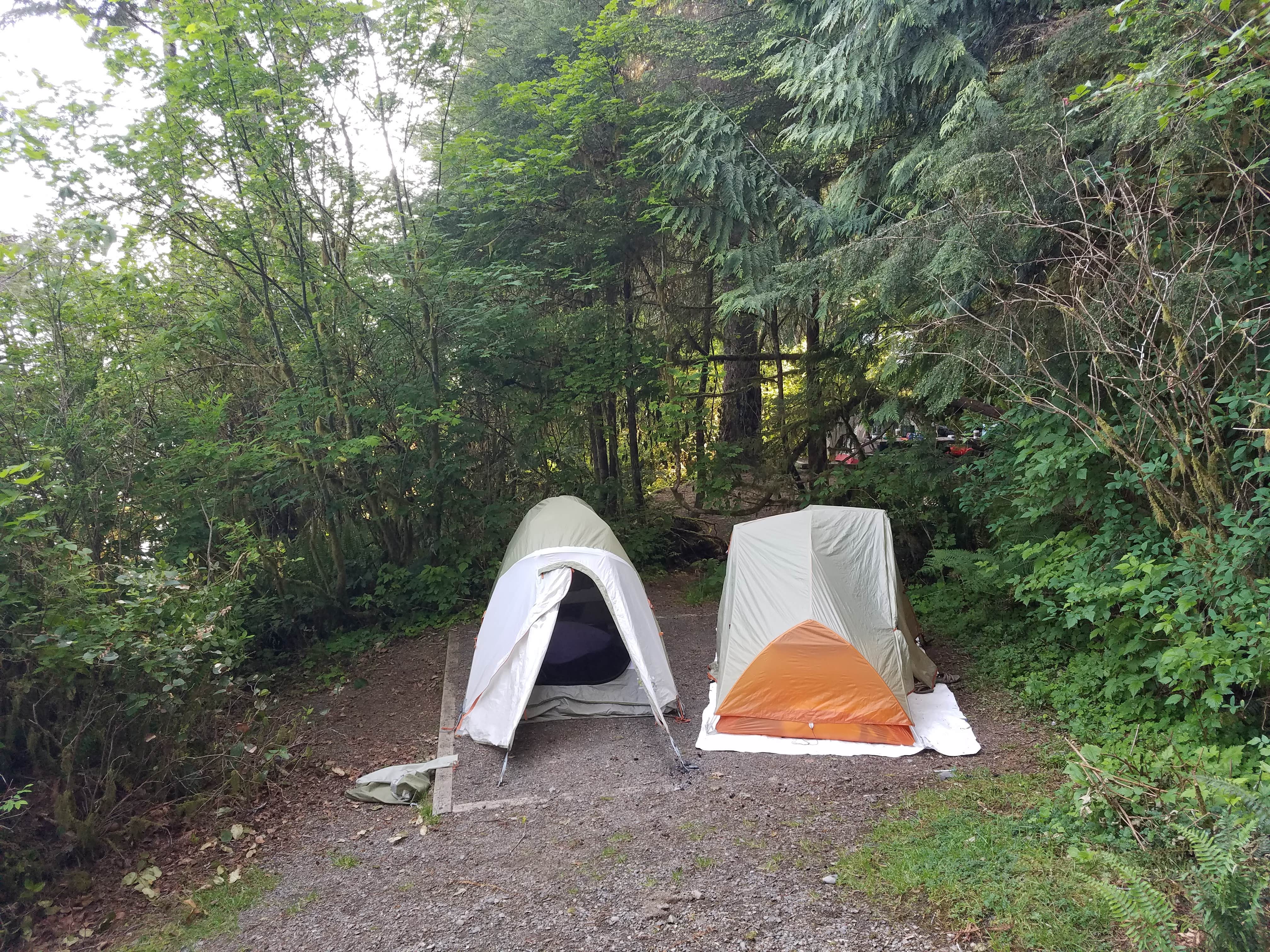 Lauren E.'s photo of tent camping at Willaby Campground near Westport, WA