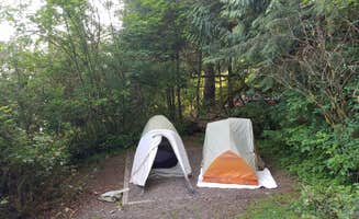 Lauren E.'s photo of tent camping at Willaby Campground near Pacific Beach, WA