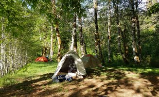 Lauren E.'s photo of tent camping at O'Neil Creek Campground — Olympic National Park near Pacific Beach, WA