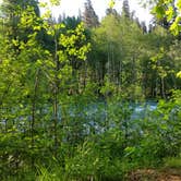 Review photo of O'Neil Creek Campground — Olympic National Park by Lauren E., May 30, 2017