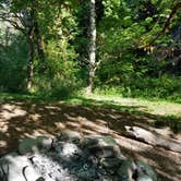 Review photo of O'Neil Creek Campground — Olympic National Park by Lauren E., May 30, 2017