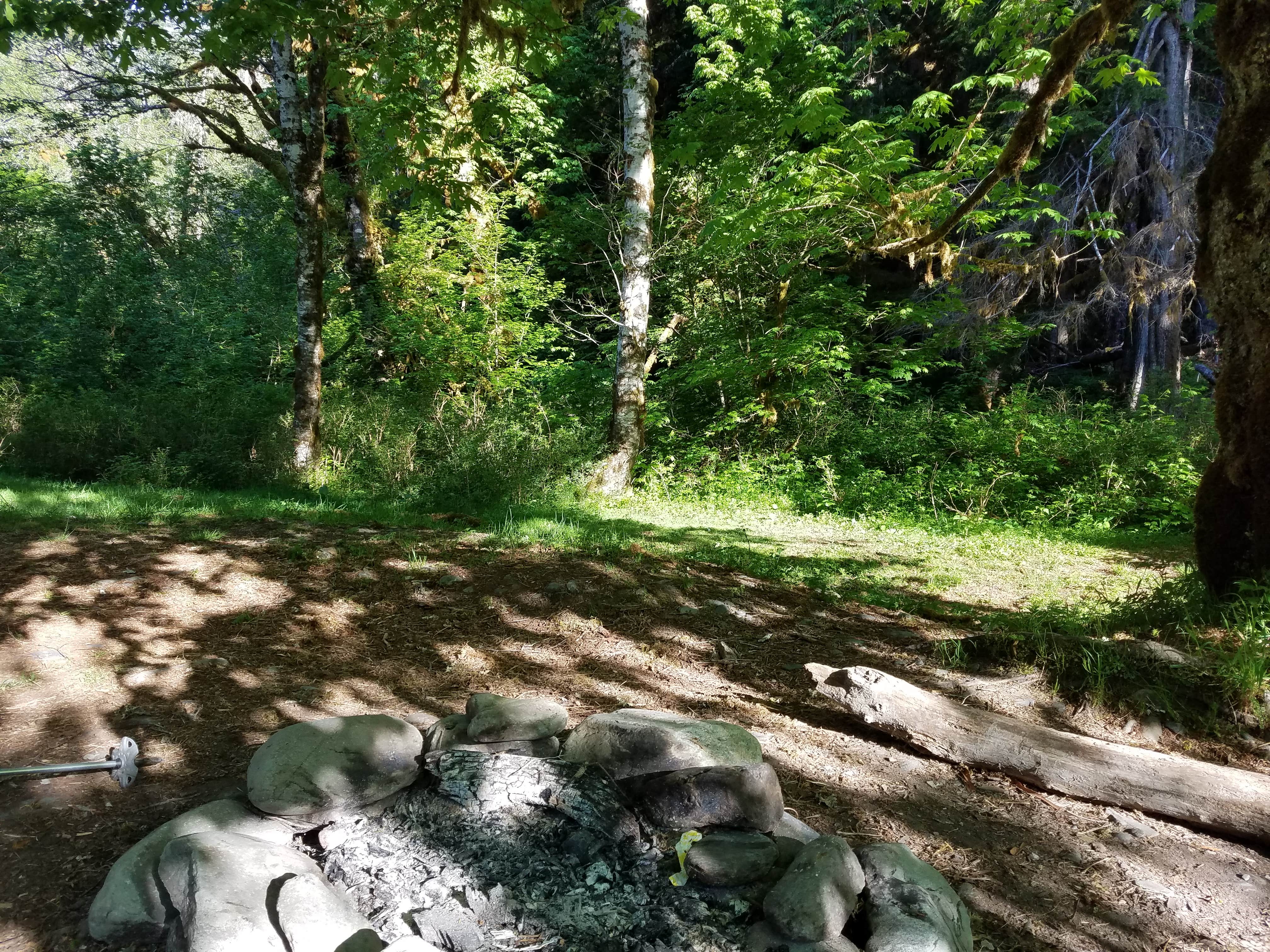 Camper submitted image from O'Neil Creek Campground — Olympic National Park - 2