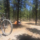 Review photo of Dixie National Forest King Creek Group Site by Carrie C., May 30, 2017