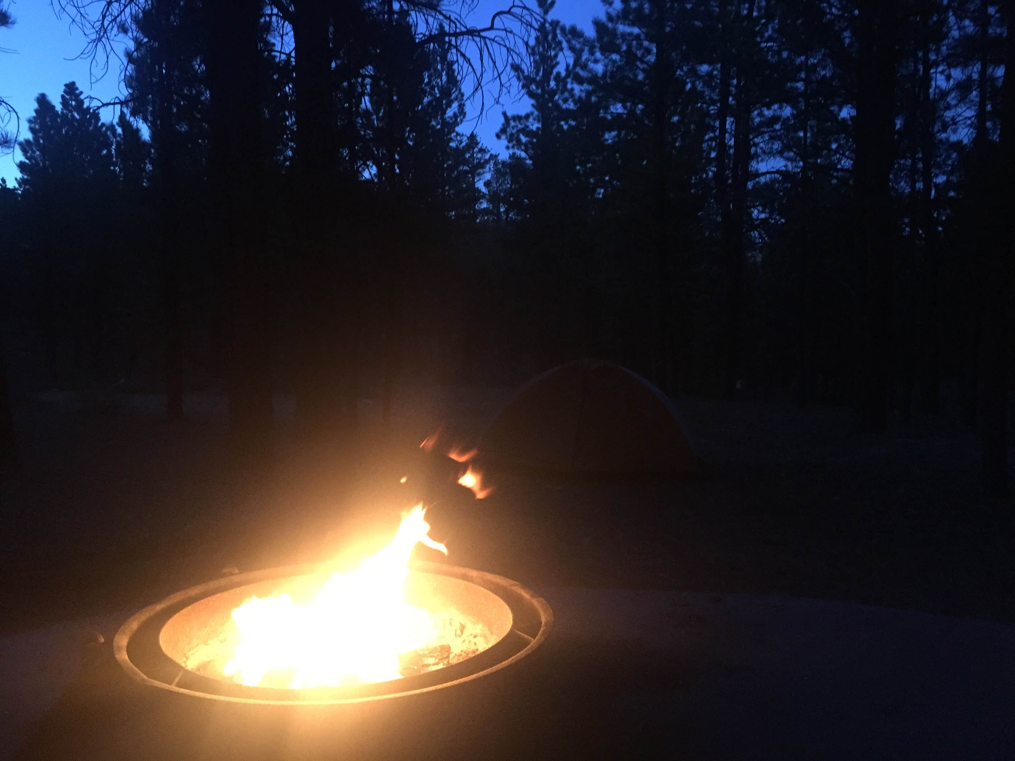 Carrie C.'s photo at Kings Creek near Bryce Canyon National Park