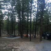 Review photo of Dixie National Forest King Creek Group Site by Carrie C., May 30, 2017