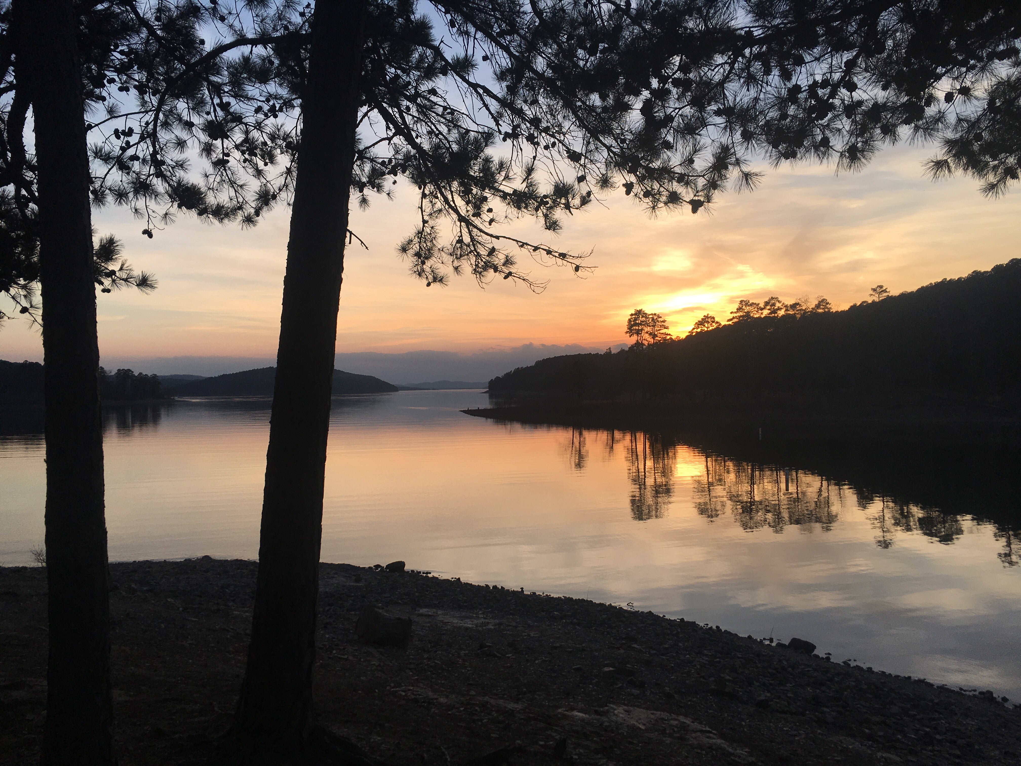 Camper submitted image from Lake Ouachita State Park Campground - 2