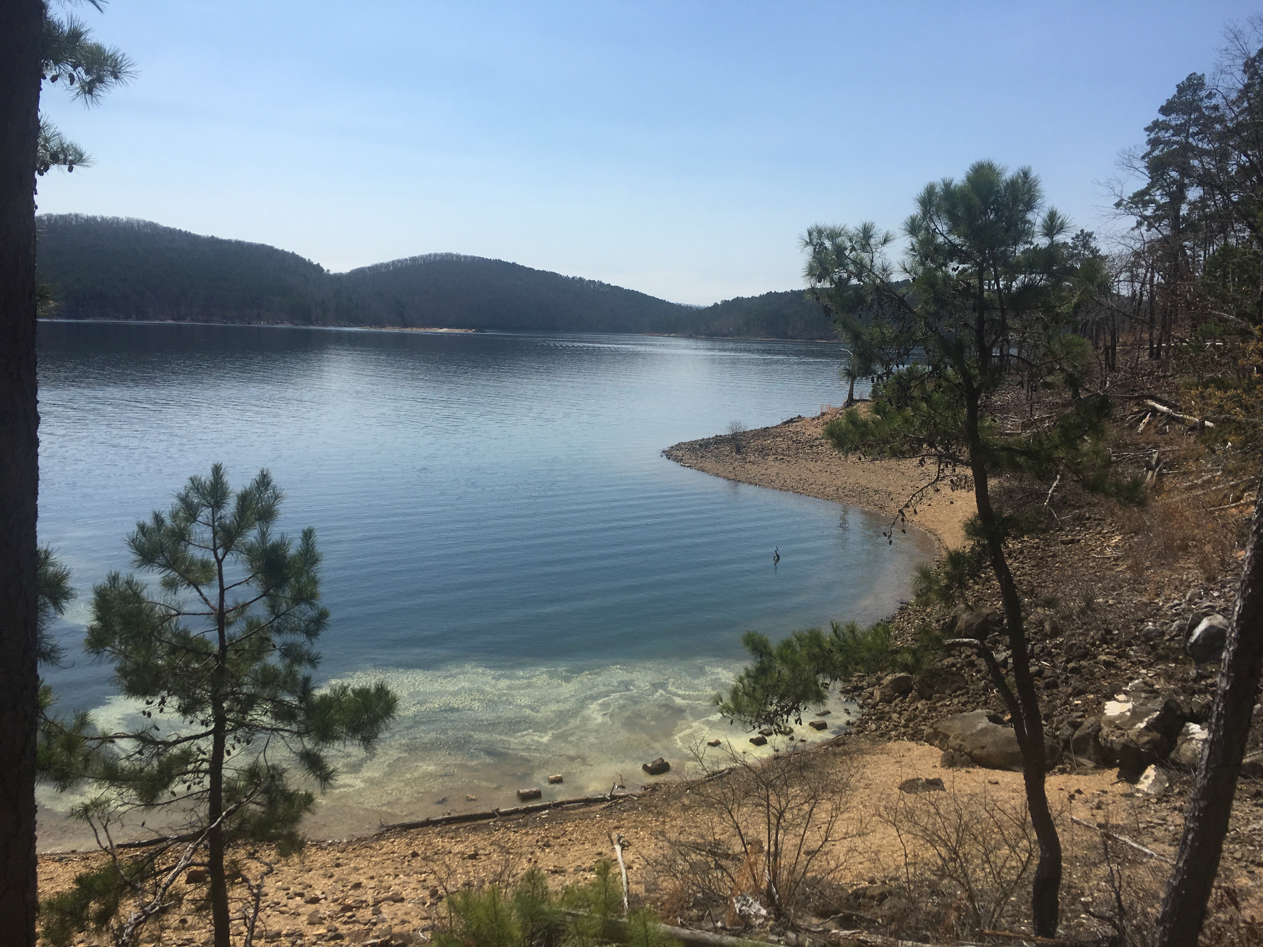 Camper submitted image from Lake Ouachita State Park Campground - 3