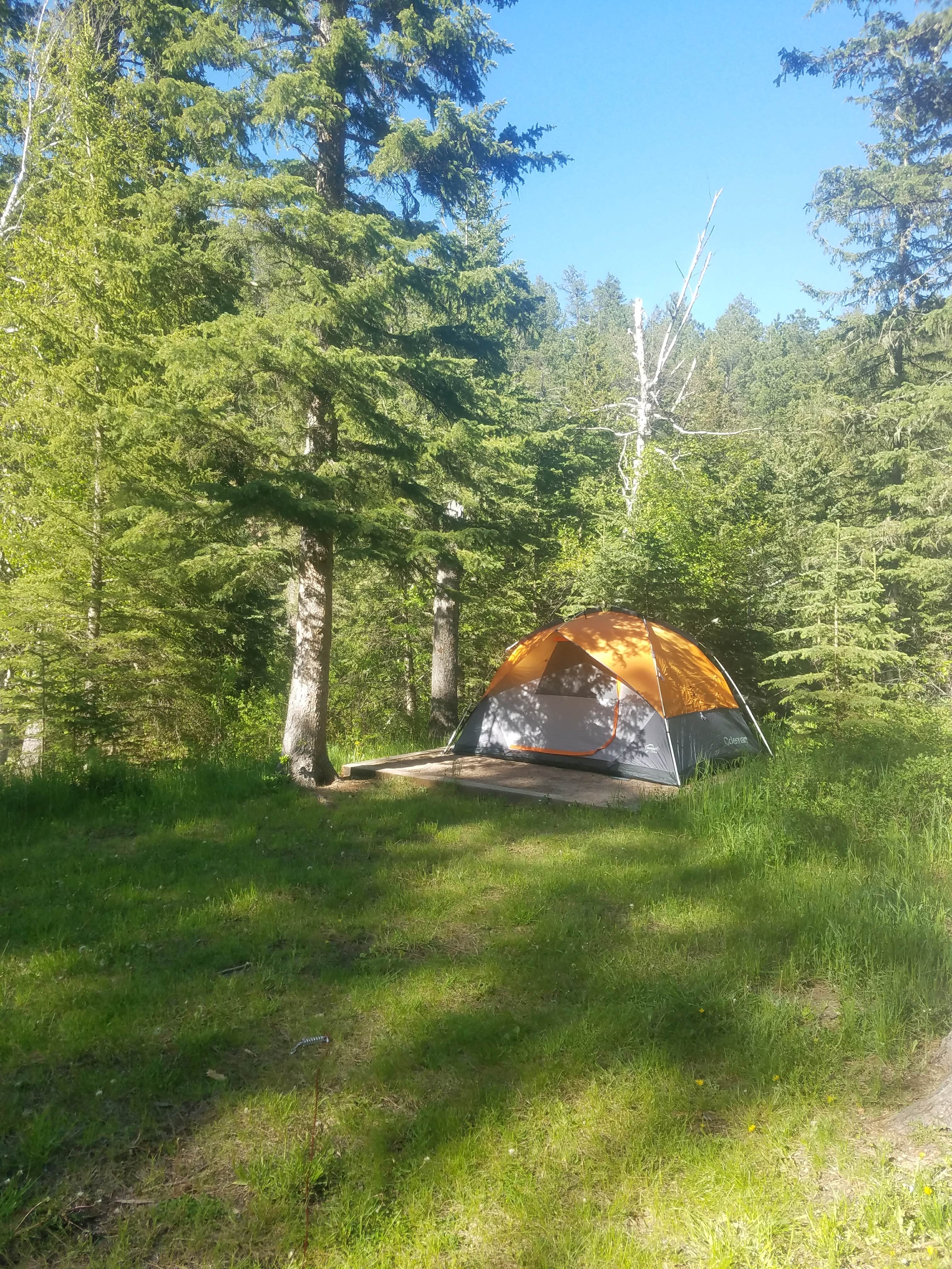 Conor P.'s photo at Boxelder Forks Campground — Black Hills National Forest near Silver City, SD