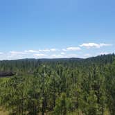 Review photo of Boxelder Forks Campground — Black Hills National Forest by Conor P., May 31, 2017