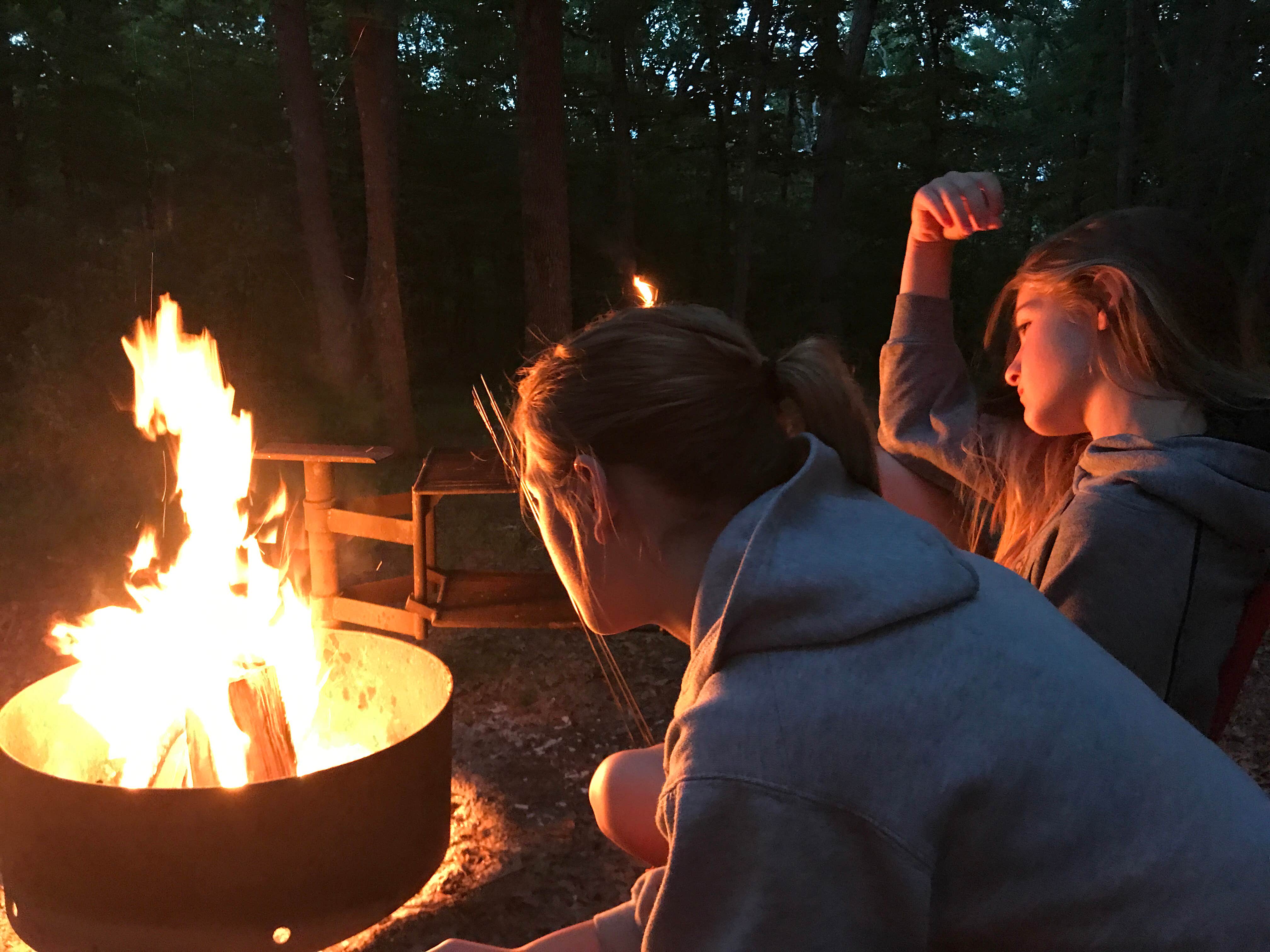 Camper submitted image from Lacey Keosauqua State Park Campground - 3