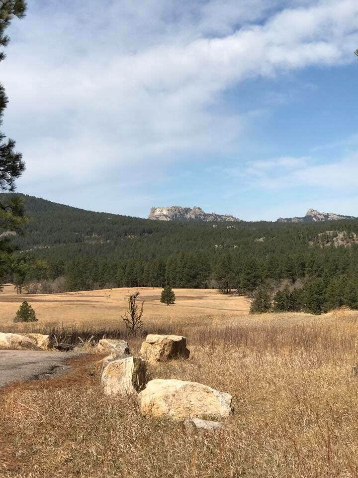 Camper submitted image from Mount Rushmore KOA at Palmer Gulch - 2