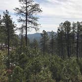 Review photo of Mount Rushmore KOA at Palmer Gulch by Dani K., May 31, 2017