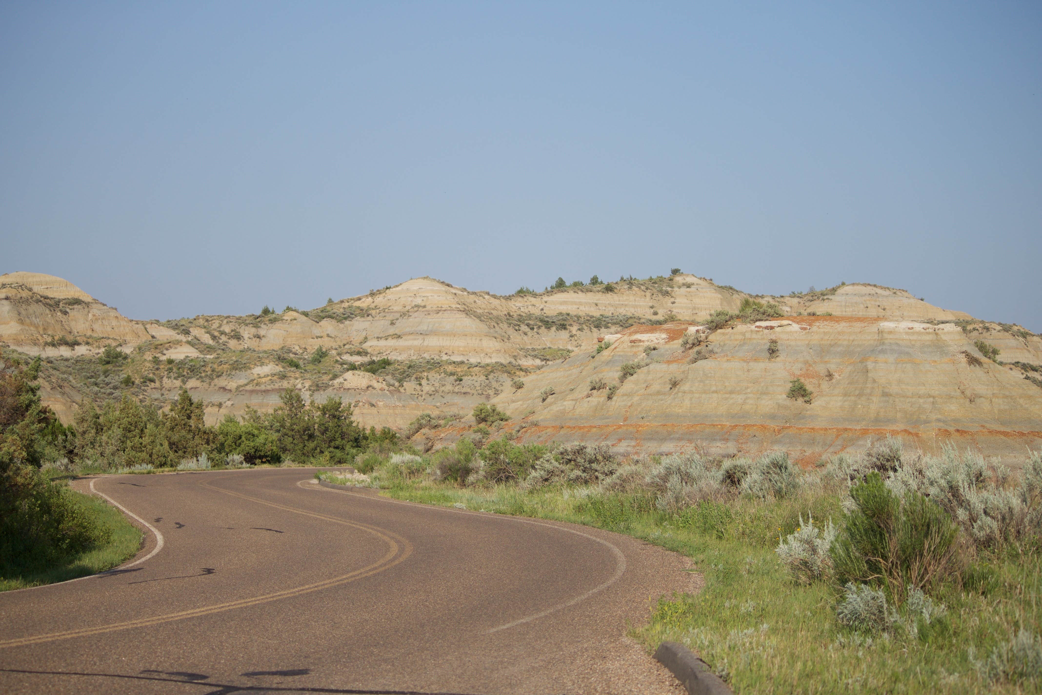Camper submitted image from Cottonwood Campground — Theodore Roosevelt National Park - 4