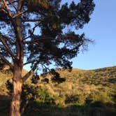 Review photo of Islay Creek Campground — Montaña de Oro State Park by Kelly S., May 31, 2017