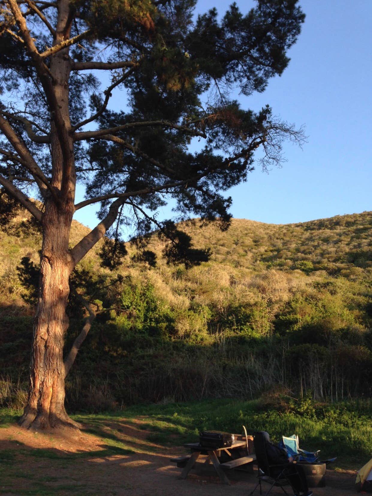 Camper submitted image from Islay Creek Campground — Montaña de Oro State Park - 1