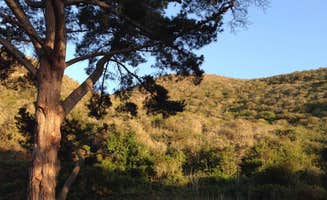 Kelly S.'s photo at Islay Creek Campground — Montaña de Oro State Park near Atascadero, CA